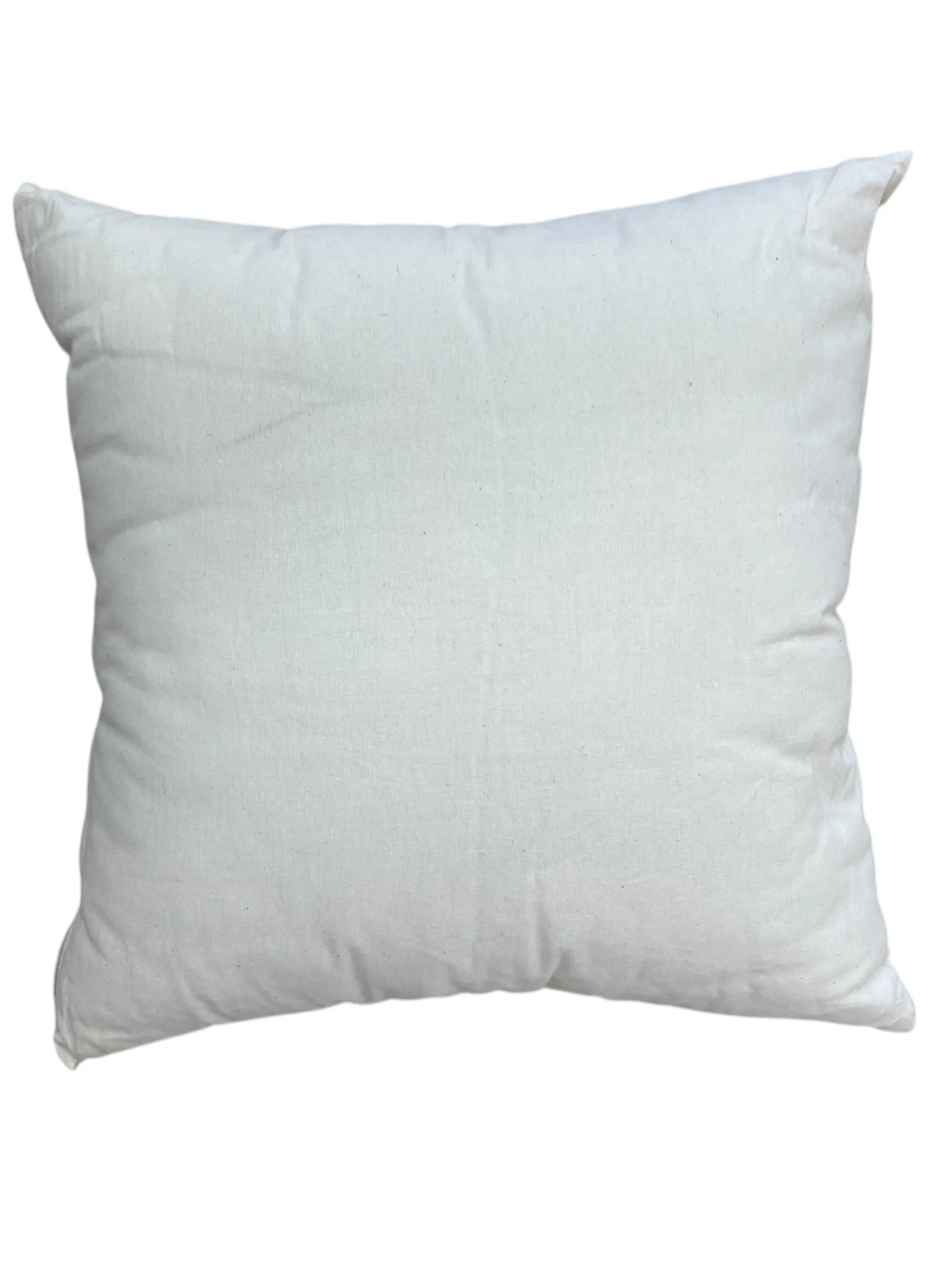 Aqua Lux Palm Cushion