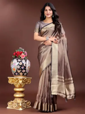 Brown Organza Saree