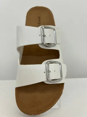Champion-31