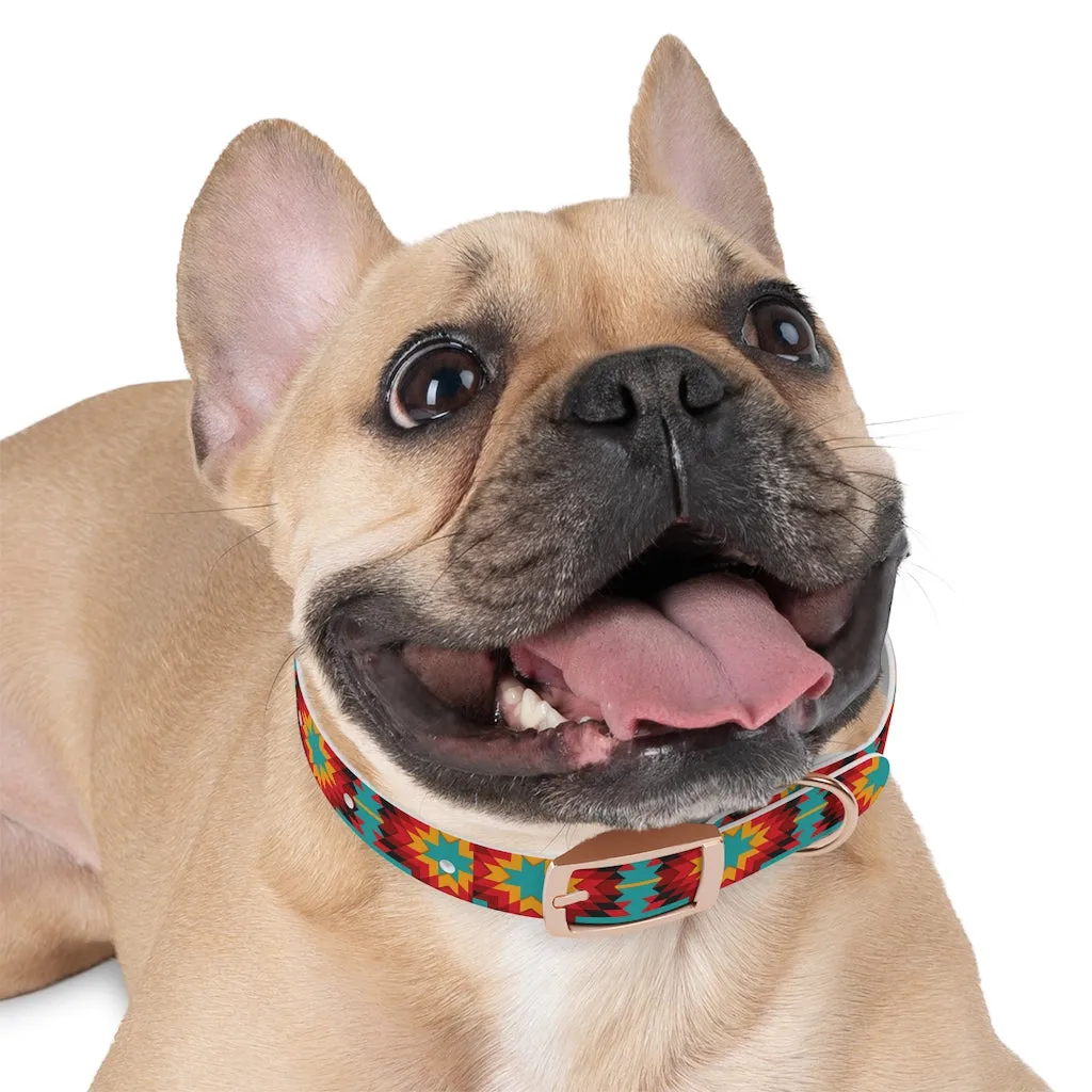 Cheetah Serape Dog Collar