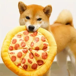 Dog Pizza Toy