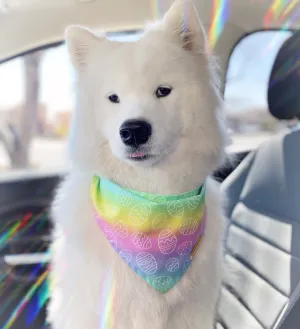 Easter Egg Hunt Bandana