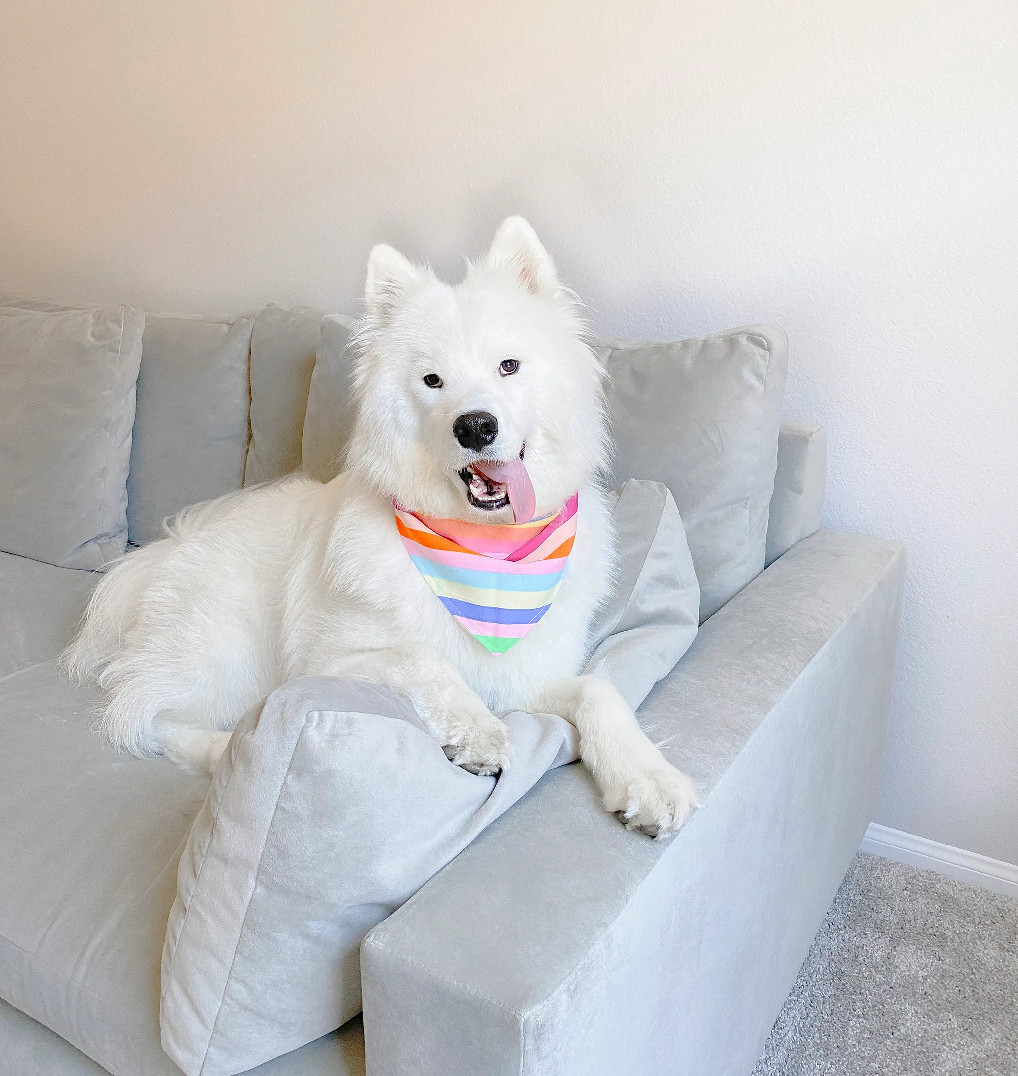 Feelin' Bright Bandana