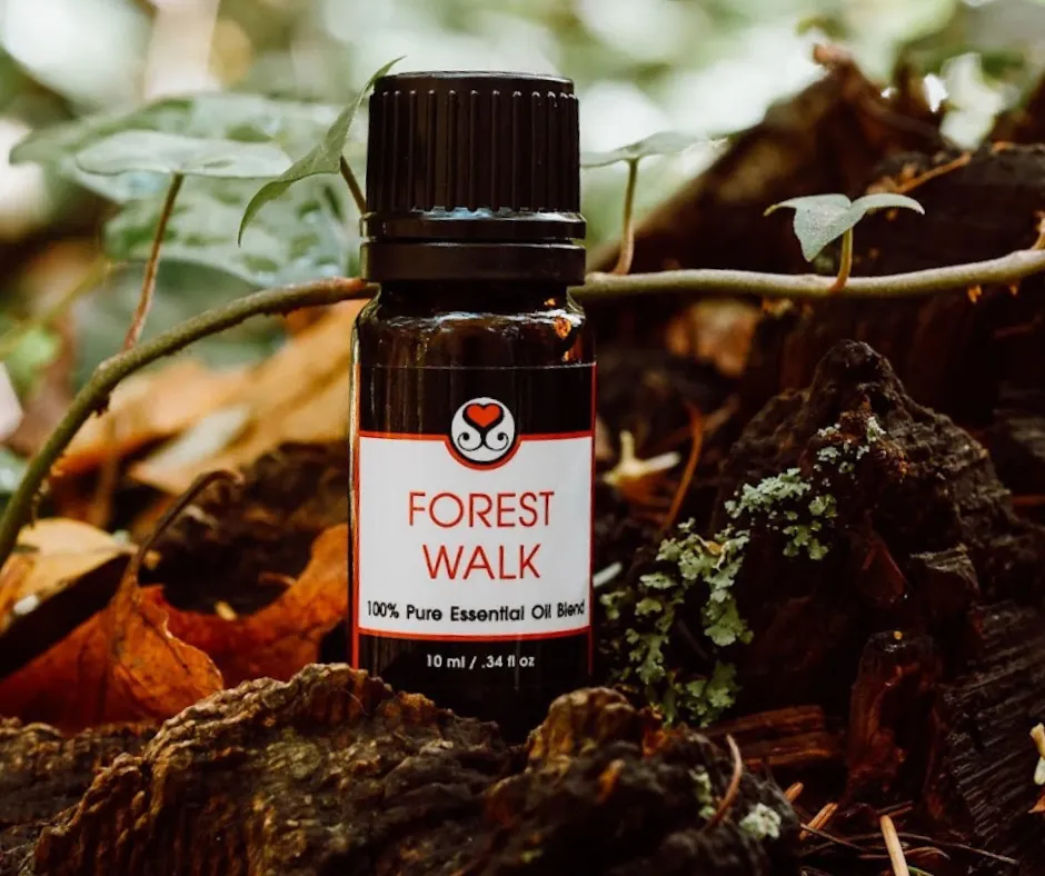Forest Walk Pure Essential Oil Blend