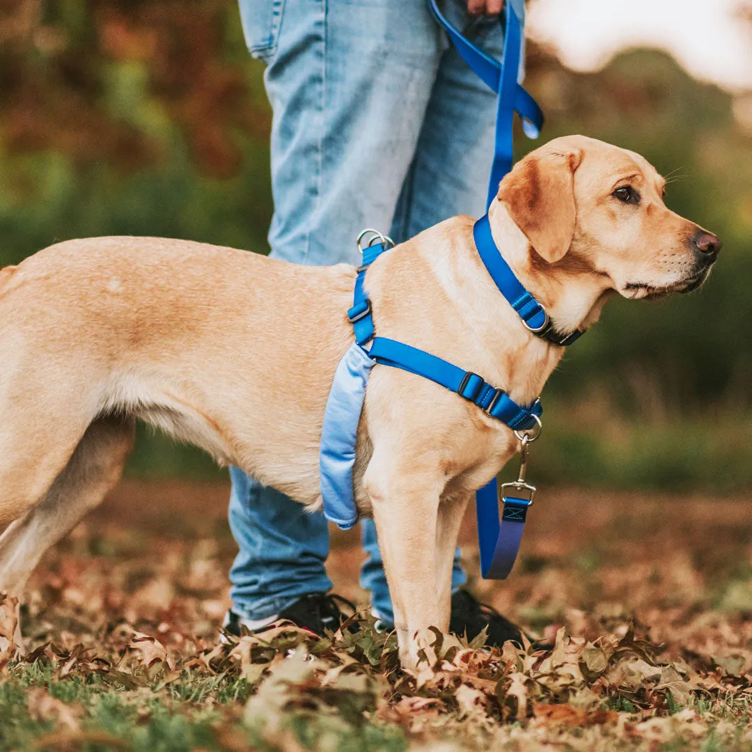 Horizon RNT No-Pull Training Harness