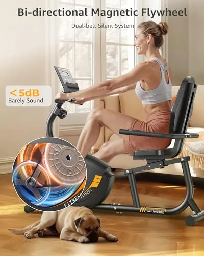 JEEKEE Recumbent Exercise Bike for Adults Seniors - Indoor Magnetic Cycling Fitness Equipment for Home Workout Black