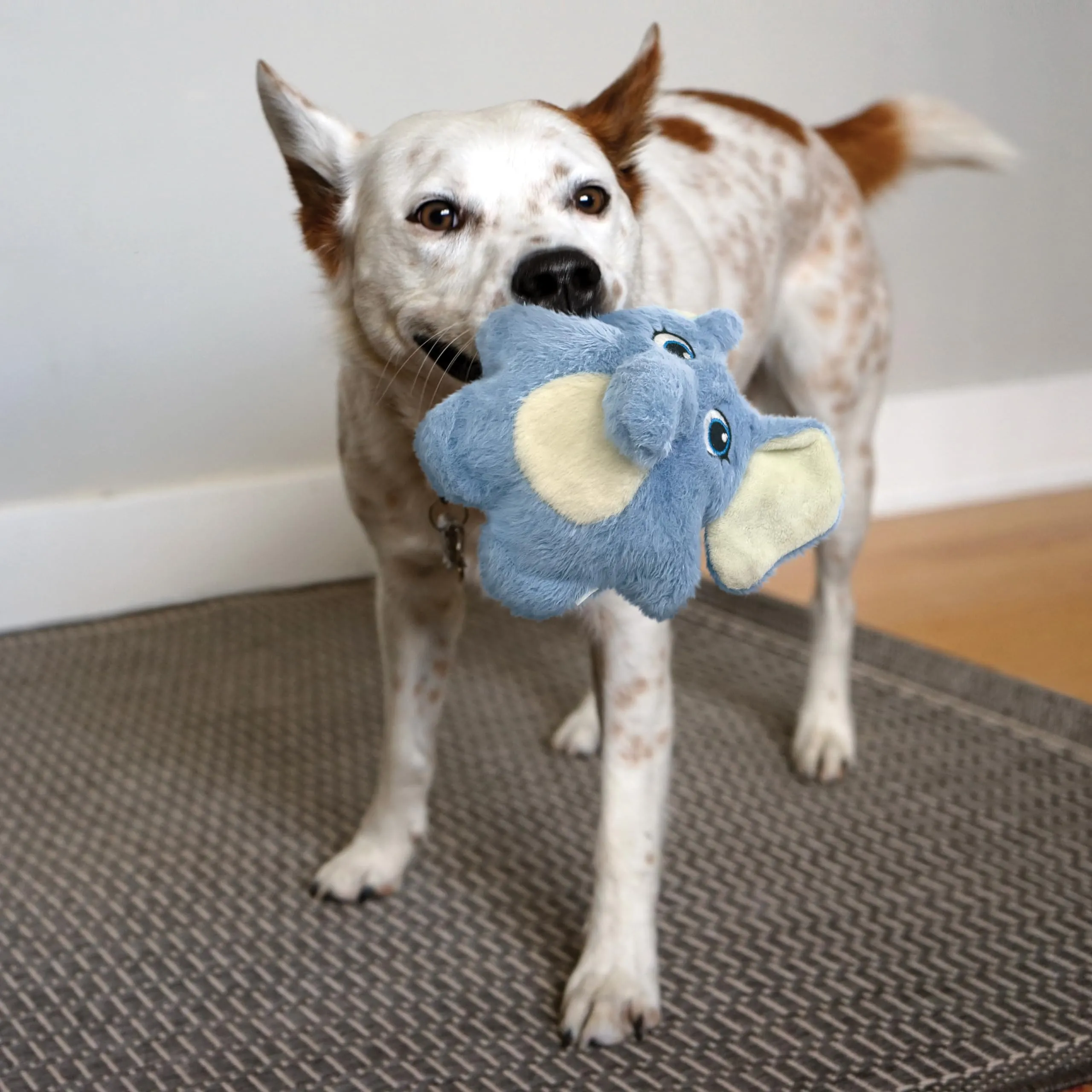 Kong Snuzzle Sloth
