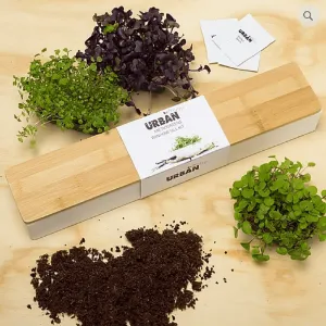 Micro Greens Window Sill Grow Kit, from Urban Greens
