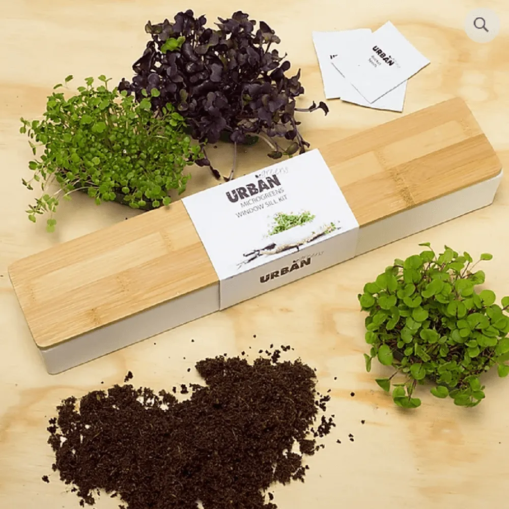 Micro Greens Window Sill Grow Kit, from Urban Greens
