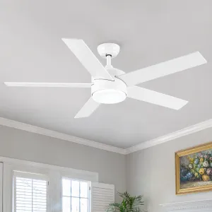 Misty Valley 52 In. LED White Modern Reversible Ceiling Fan, Color-Changing quiet 3-Speed Ceiling Fan