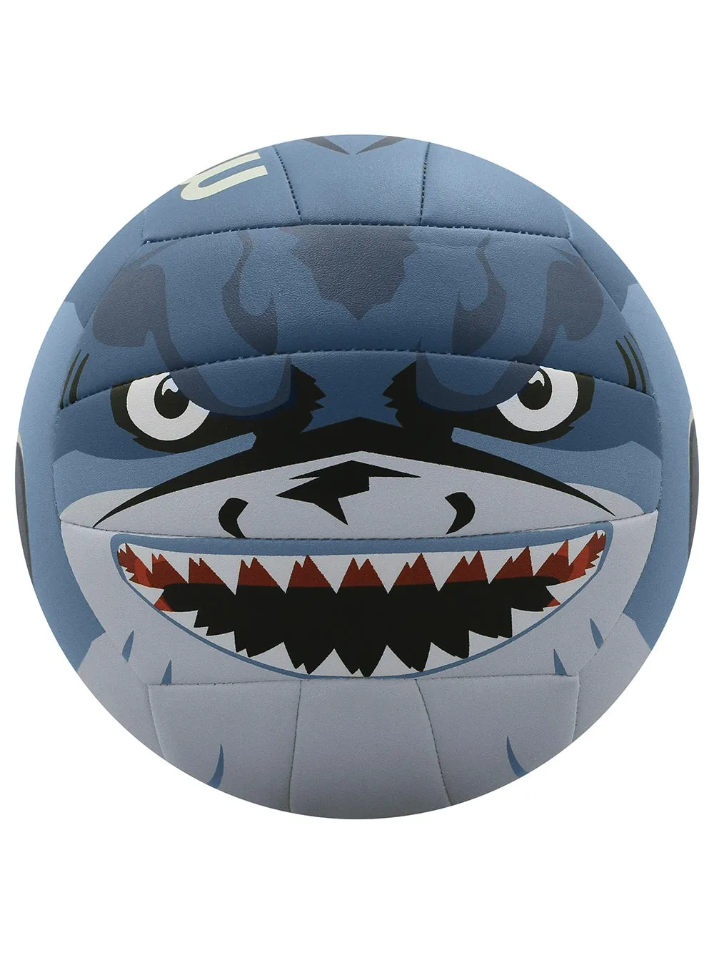 MS500 Volleyball