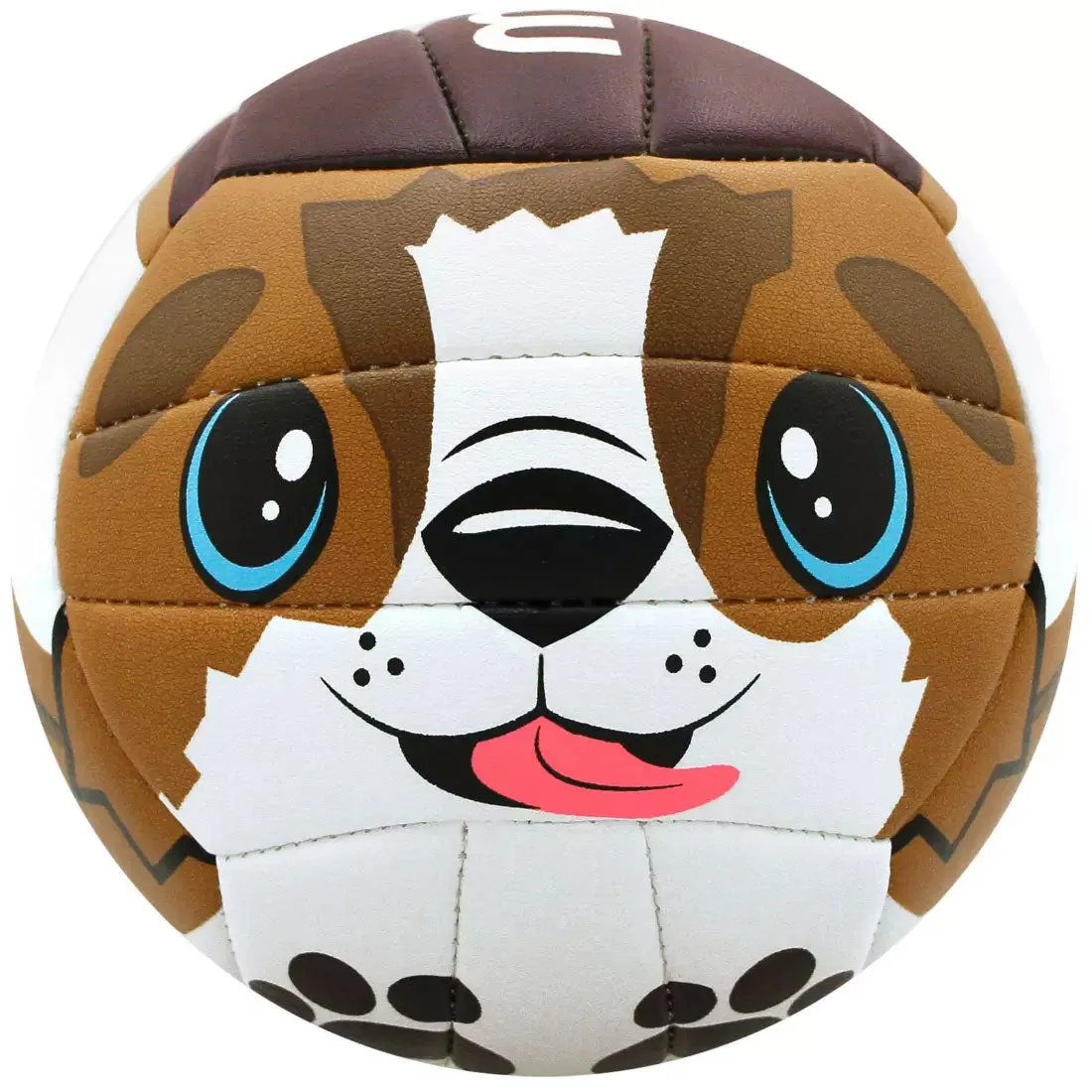 MS500 Volleyball