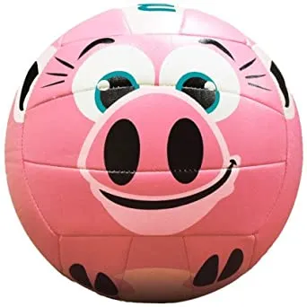 MS500 Volleyball