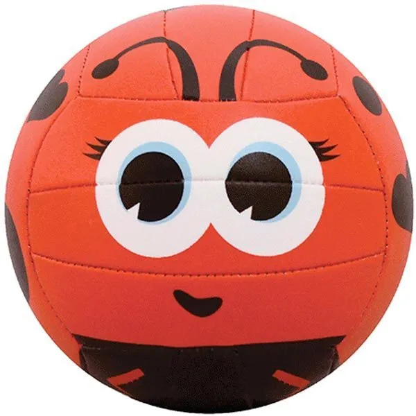 MS500 Volleyball
