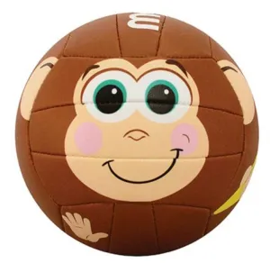 MS500 Volleyball