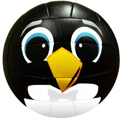 MS500 Volleyball