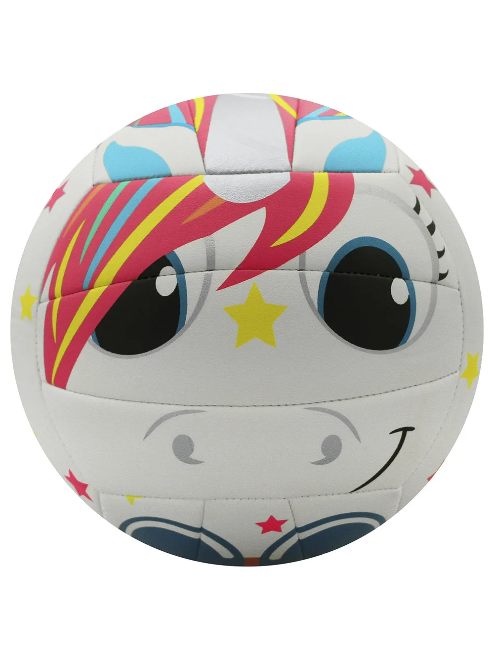 MS500 Volleyball