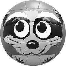 MS500 Volleyball