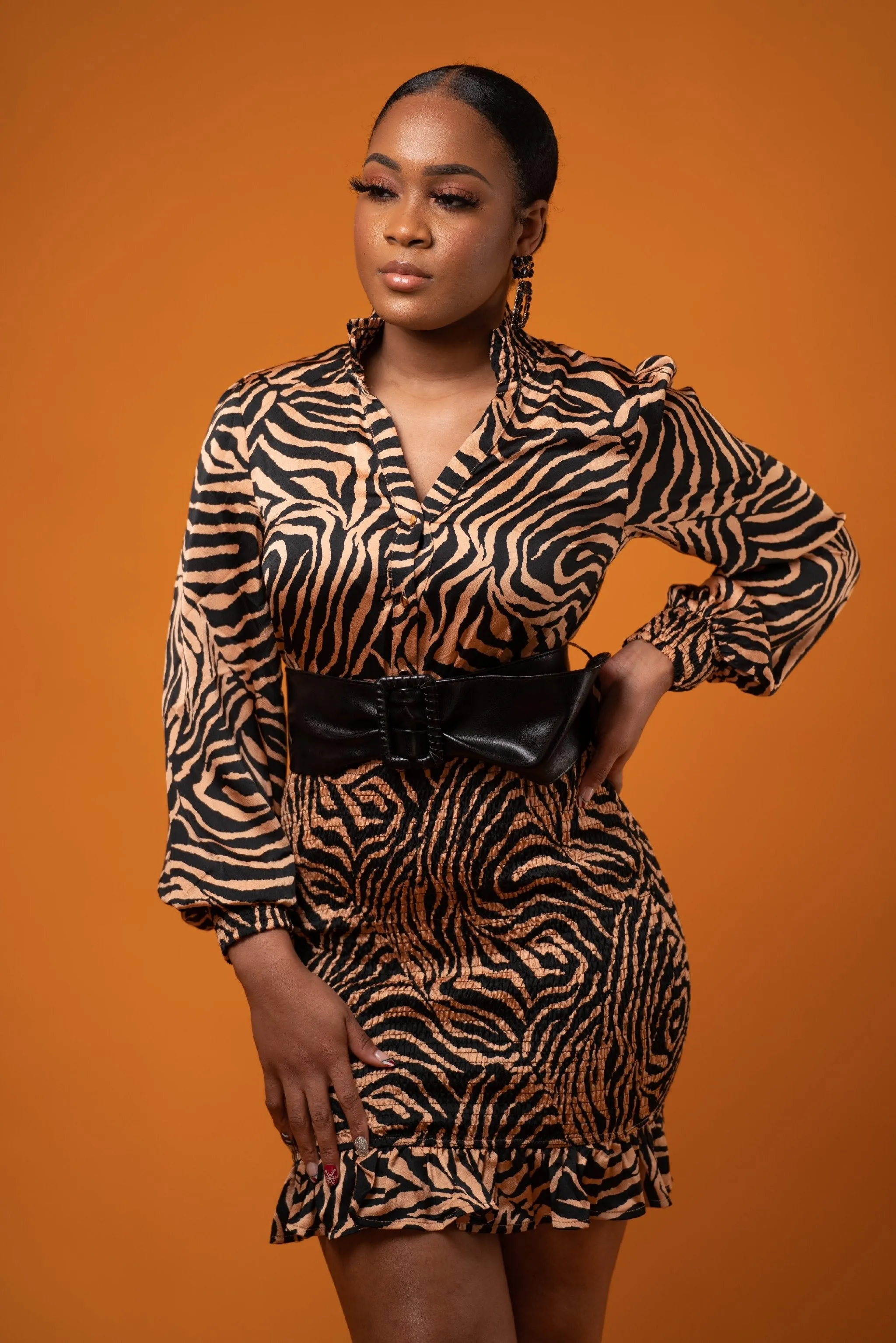 My Wild Side Dress