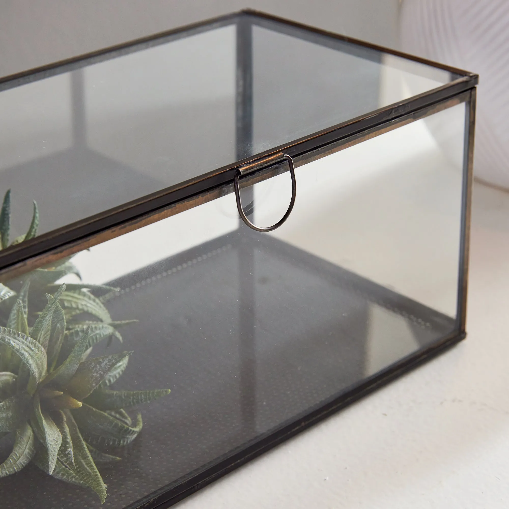 NAPA Home & Garden, ARWEN RECTANGULAR DISPLAY BOX,N2PS09