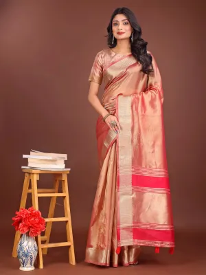 Orange Organza Saree