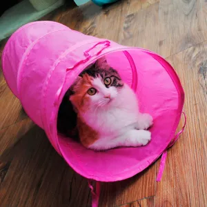 Pet Cat Puppies Kitten Small Foldable Tunnel Dangling Bell Play Toy Gift D0173