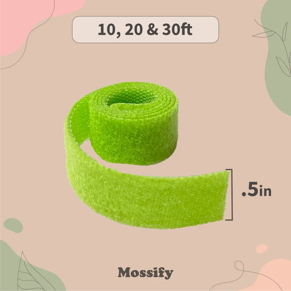 Plant Tape|10ft