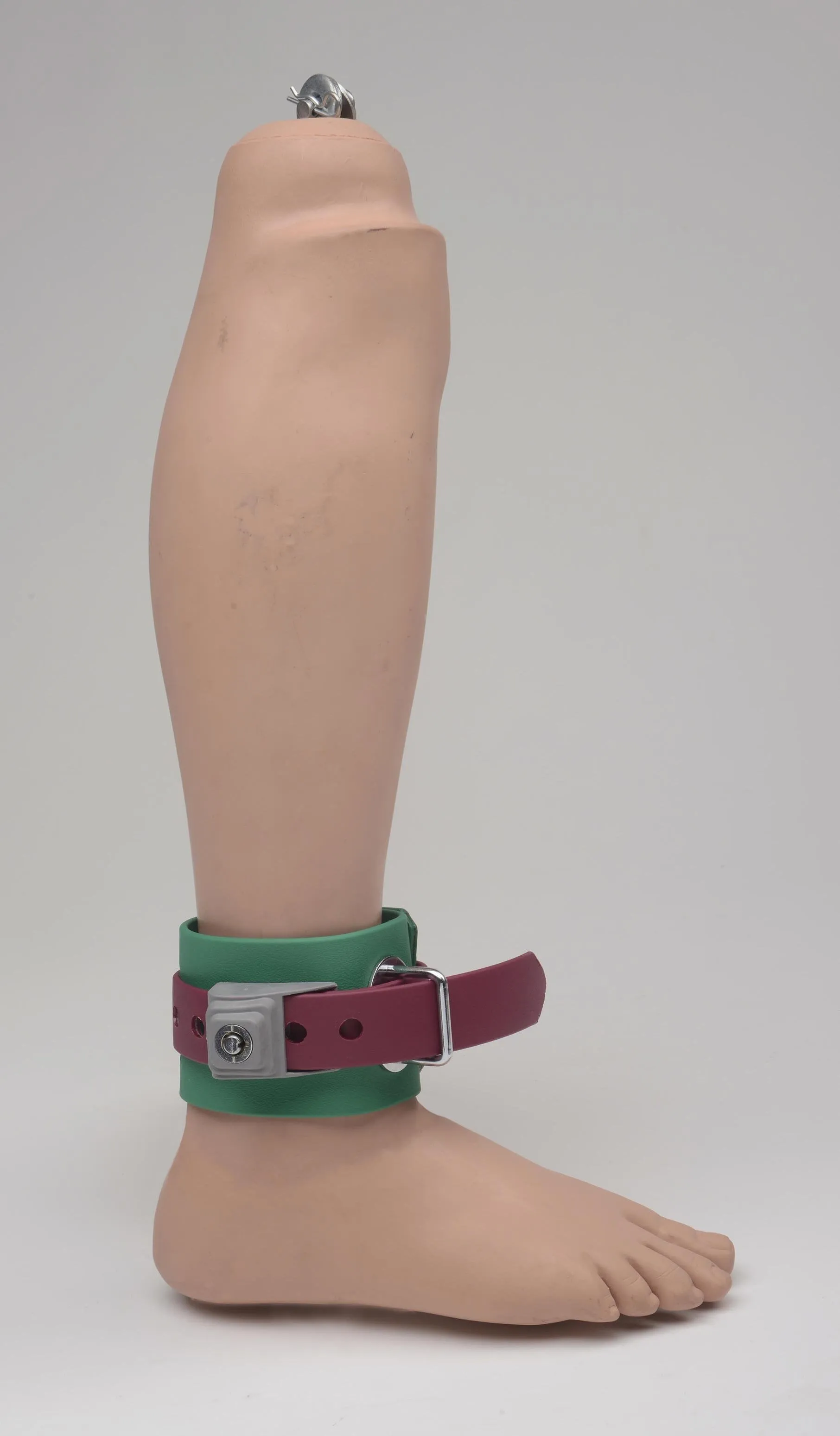 Polyurethane 501 Locking Restraints - WA-501-POLY, AA-501-POLY & AA-501XL-POLY
