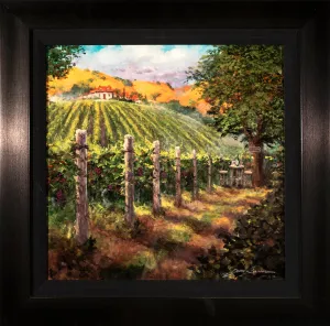 "A Walk in the Vineyard"