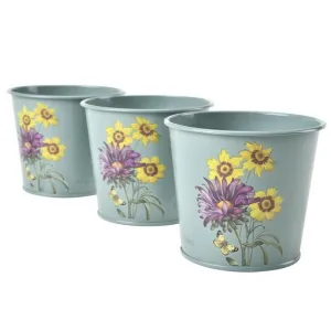 RHS Gift Herb Pots Set of 3- Asteraceae