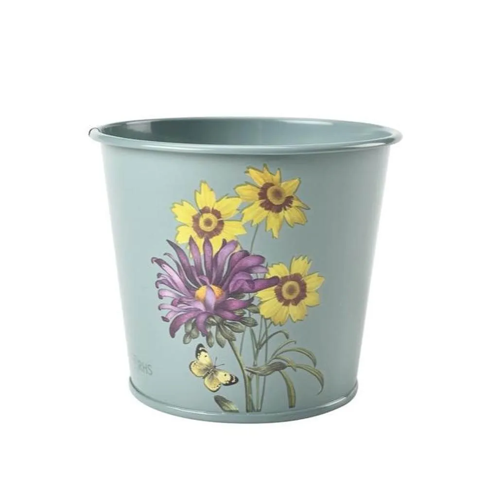 RHS Gift Herb Pots Set of 3- Asteraceae