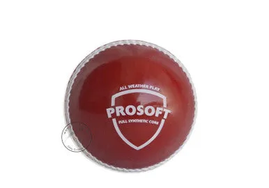 SG Prosoft Cricket Ball Set of 2