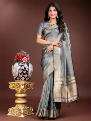 Silver Organza Saree