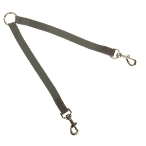 Split Ends Dog Lead