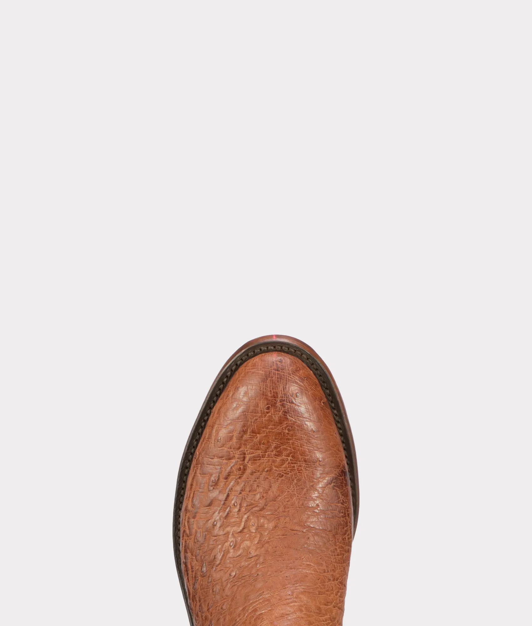 Sunset Exotic :: Cognac
