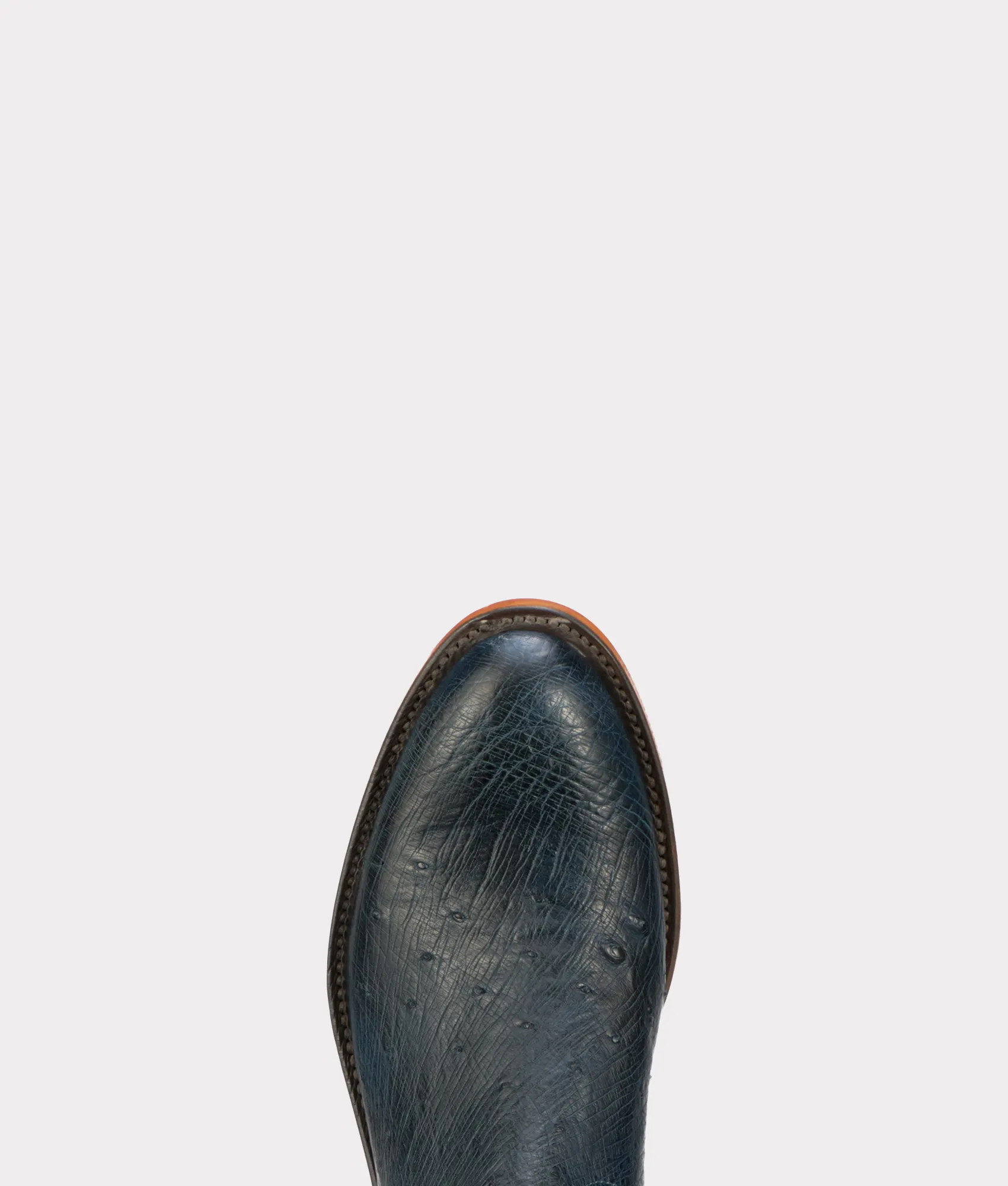 Sunset Exotic :: Navy