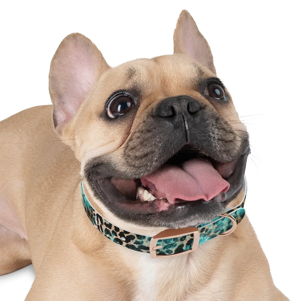 Turquoise Slab Dog Collar
