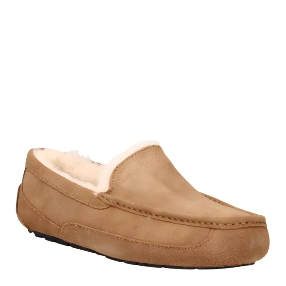 Ugg Men's Ascot Suede Slipper Chestnut
